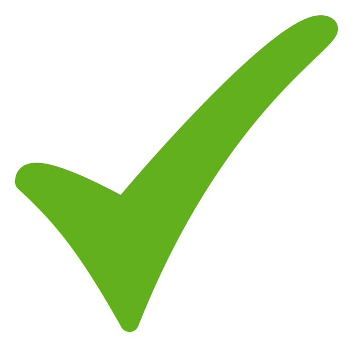 Success Check Mark